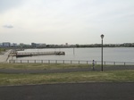 @IMG_0936.jpg